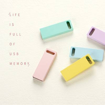 MD-PASTEL S1000 USB메모리2.0 32G