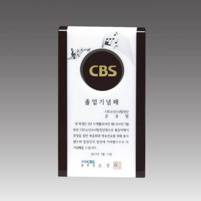 G2013 스노우크리스탈상패