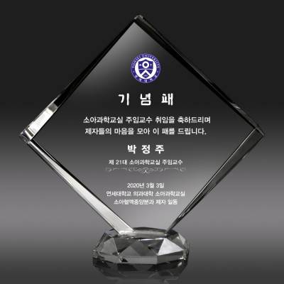 취임 선물 재직기념패 송공패 크리스탈상패 art351
